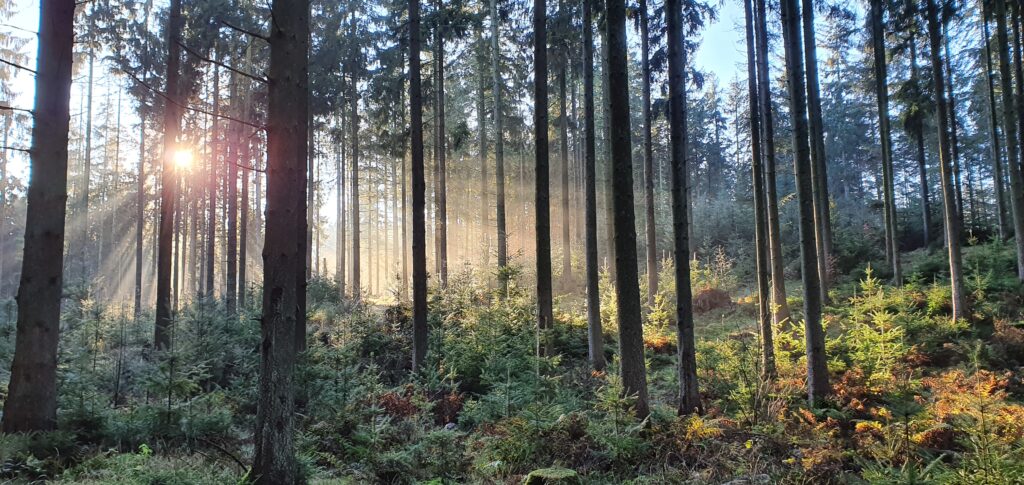 Mette Body Mind Balance Kropsterapi coaching mentor healing clearing human design yin yoga stress kropsterapi støvring hadsund arden aalborg