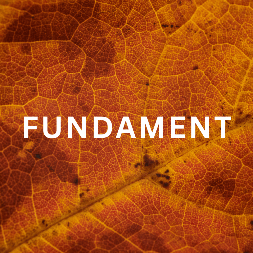 FUNDAMENT fjernhealing hjem body mind balance forløb