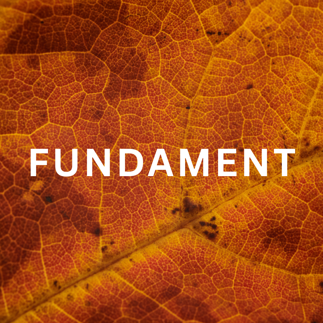 FUNDAMENT fjernhealing hjem body mind balance forløb